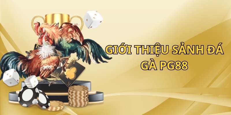 Giới thiệu sơ qua về sảnh đá gà PG88